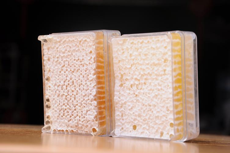 健凤园农家自产纯蜂巢蜜250g盒装嚼着吃蜂蜜块荆条百花峰巢蜜